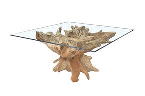 Teak Root Table with square glass top  59x59x30"