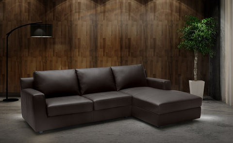 Taylor Leather Sectional Sleeper