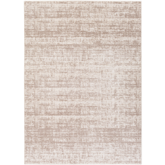 Area Rug 5.3x7.3  in beige and ivory, soft
